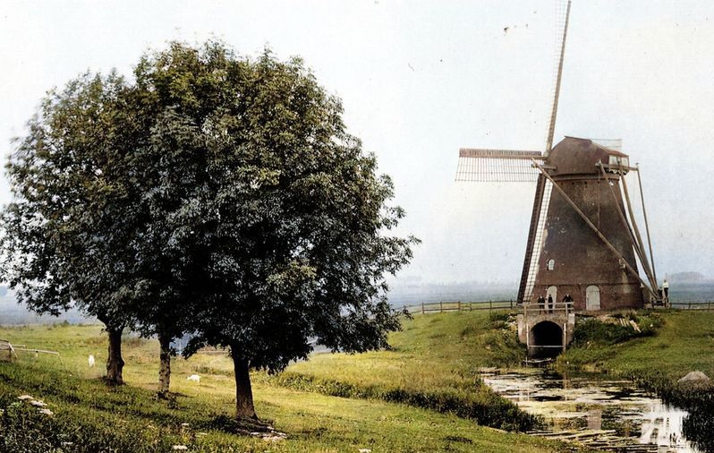 Cultuur-historische wandeling Haarsteeg  door de heemkundekring Onsenoort